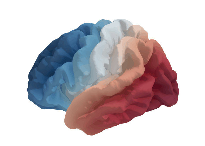 BrainModes Logo